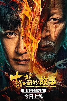 7eb2ae51-0531-48c8-a49c-137c75f5d29b.png 电影《东北奇妙故事》(2026)宣传海报,呈现主角肖墨与神秘殡葬师在迷雾古井前对峙的场景,展现悬疑惊悚与科学解谜交织的诡异氛围